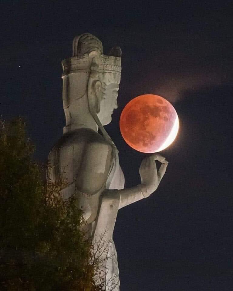 DisenoWebPlus's tweet image. Puedes conquistar la 🌒🌙 luna. Quizás no. Pero si puedes hacer crecer tu negocio, con una presencia web en internet. Consulta disenowebplus.com 🔥 #disenowebplus  #disenoweb #luna #beautiful  #EclipseLunar #negociosonline #bisnes #SiguemeYTeSigo #JuevesDeGanarSeguidores