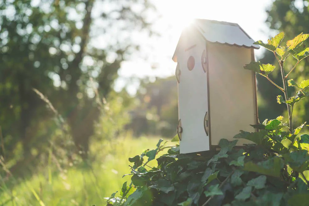 Faire un nichoir connecté par exemple, sur un arbre de l’école, est quelque chose de très concret pour les élèves...  Les STEAM au cœur de projets nature #numériqueéducatif buff.ly/3of4EMX
