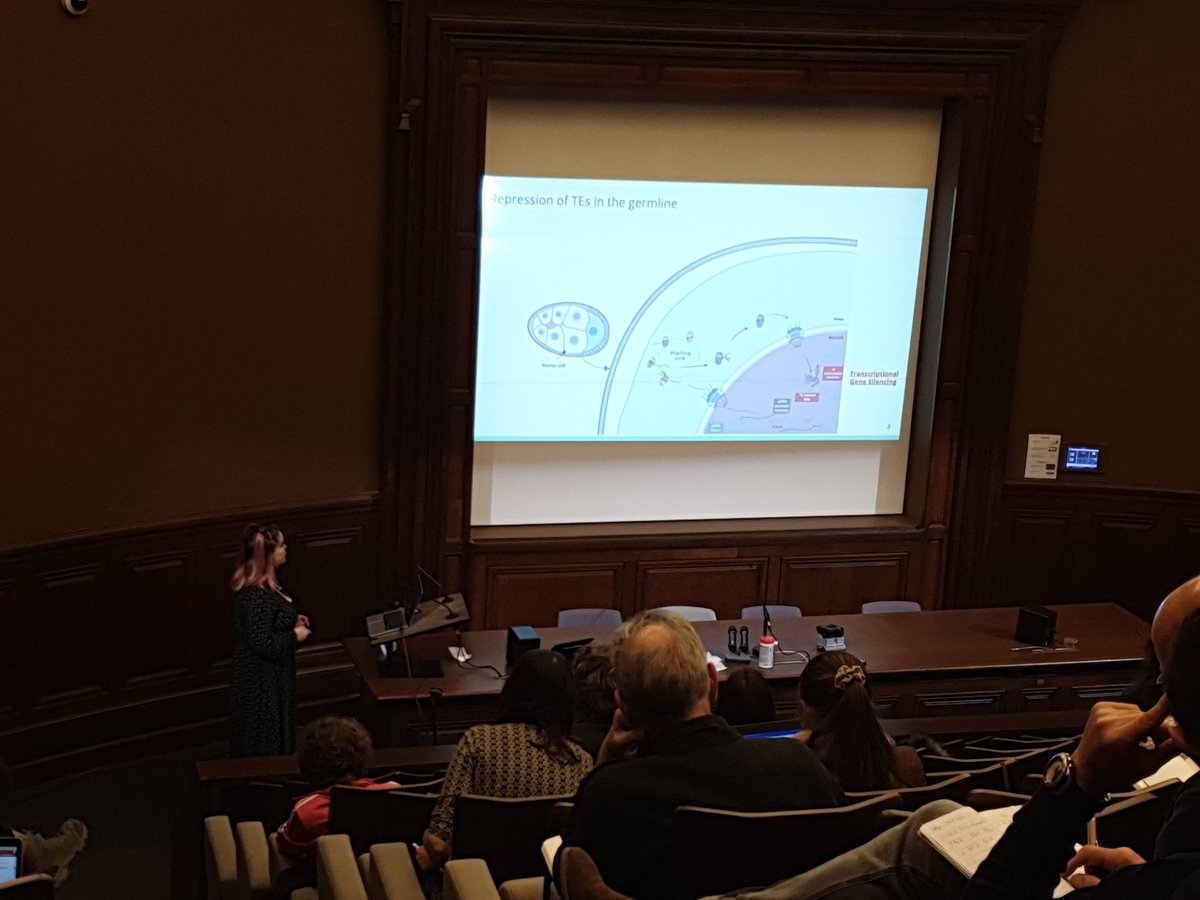 Francois Sabot (@francoissabot.bsky.social) (@francois_sabot) on Twitter photo This afternoon at #TransposableElement MobilET congress <a href="/AnaisLugagne/">Anaïs Lugagne</a> from <a href="/ChambeyronS/">Séverine Chambeyron</a> lab is presenting her phd research on drosophila embryo and piRNA This afternoon at #TransposableElement MobilET congress <a href="/AnaisLugagne/">Anaïs Lugagne</a> from <a href="/ChambeyronS/">Séverine Chambeyron</a> lab is presenting her phd research on drosophila embryo and piRNA