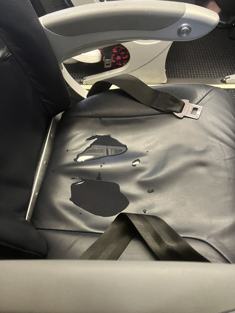 lauren maggard tweet media