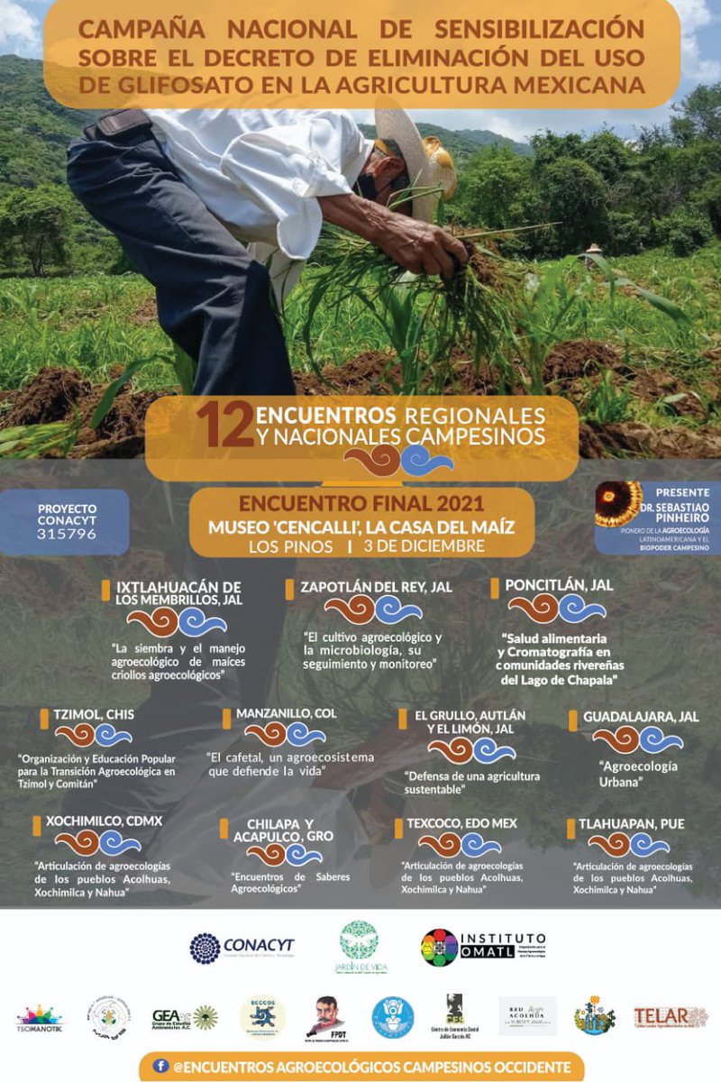 _SemillasdeVida's tweet photo. ¡Te invitamos a La campaña nacional de sensibilizacion sobre el decreto de eliminacion del uso del glifosato en la agricultura mexicana en los Pinos, Cencalli: Casa del Maíz con conferencia Magistral de Sebastio Pinheiro y mucho más!
🗓2 diciembre 
⏰13 hrs 
📍Cencalli, Los Pinos https://t.co/NG6FP1uNyZ