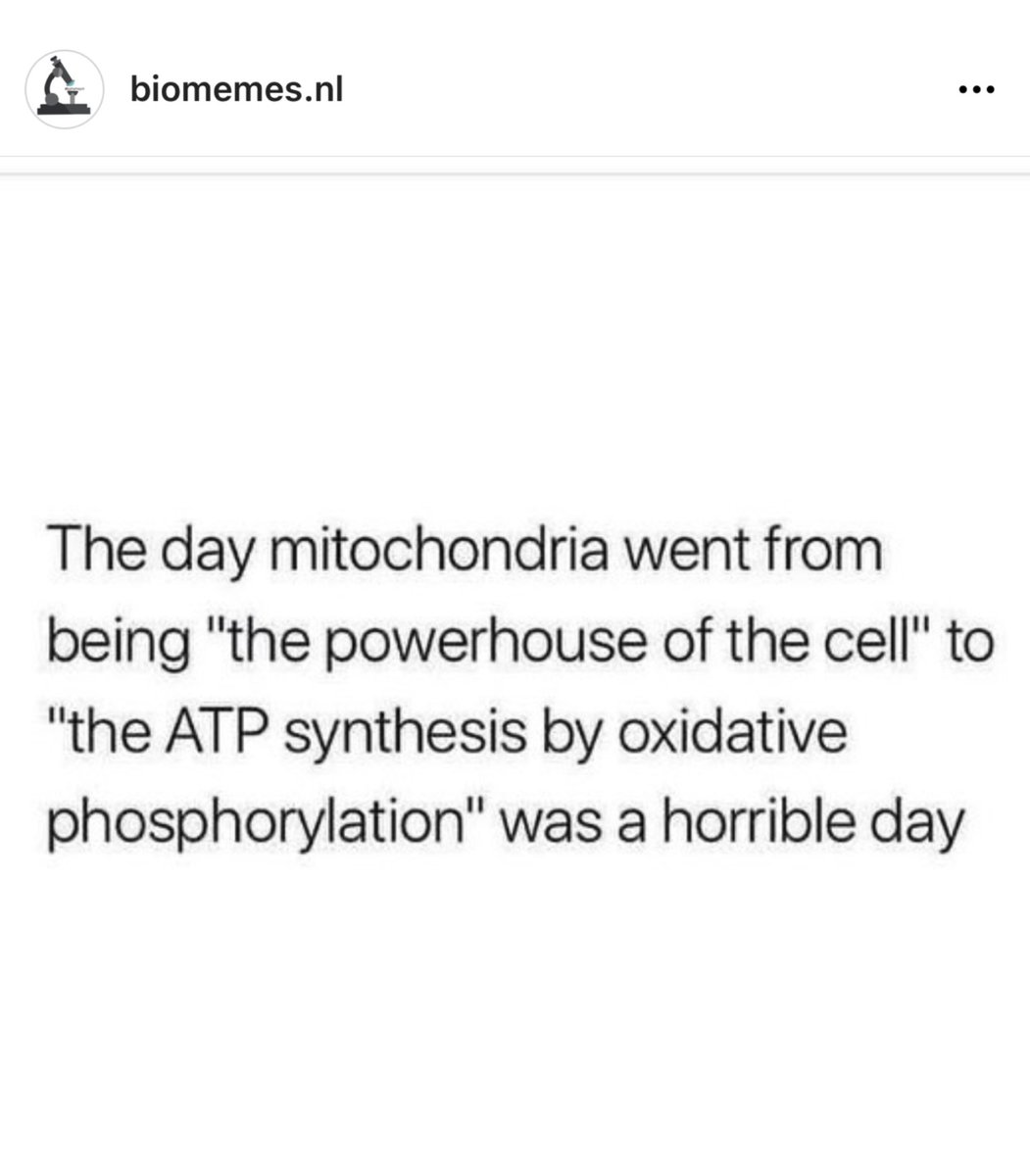 Something I’m sure the year 13s can relate to… 😂 🔬 🧫 #science #oxidativephosphorylation #mitochondia
