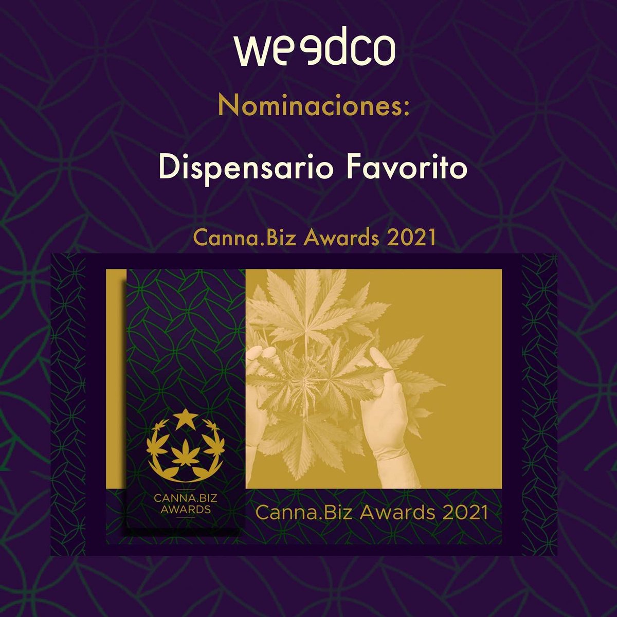 OmgWeedco's tweet photo. Orgullosos de nuestro equipo por estas 8 nominaciones en los https://t.co/970x4cPHOZ Awards.
Para votar accedan a https://t.co/ICuizoZOeV https://t.co/Zfg3Z0EyR3
