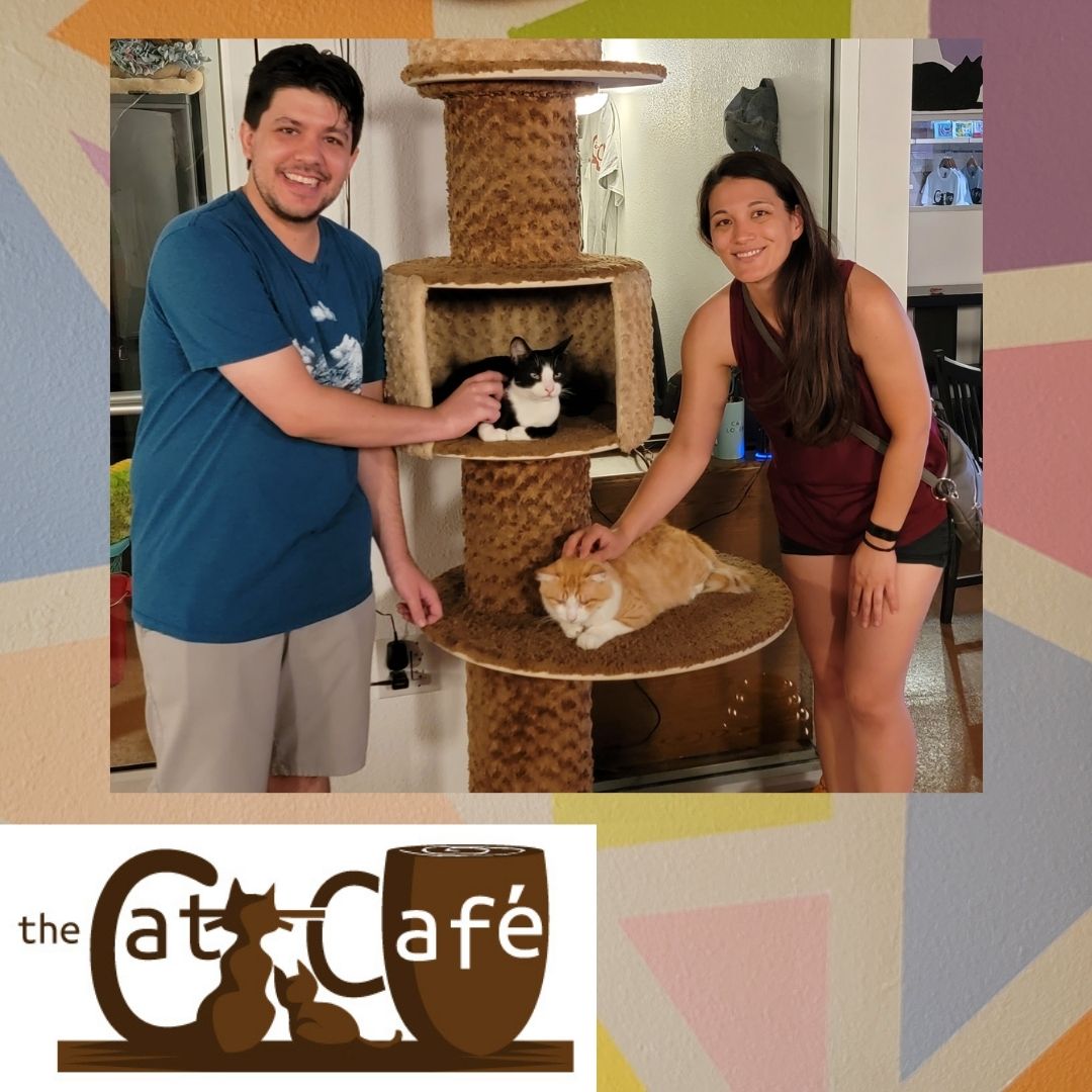 CatCafeSanDiego's tweet image. Need a break after all the learning at #fetchdvm360 Come relax between sessions with our friendly cats. We&apos;re a five minute walk from @SDConventionCtr (cross Harbor at 1st, right on Island, walk to 3rd). Spend time with our cute cats and enjoy award winning locally roasted coffee