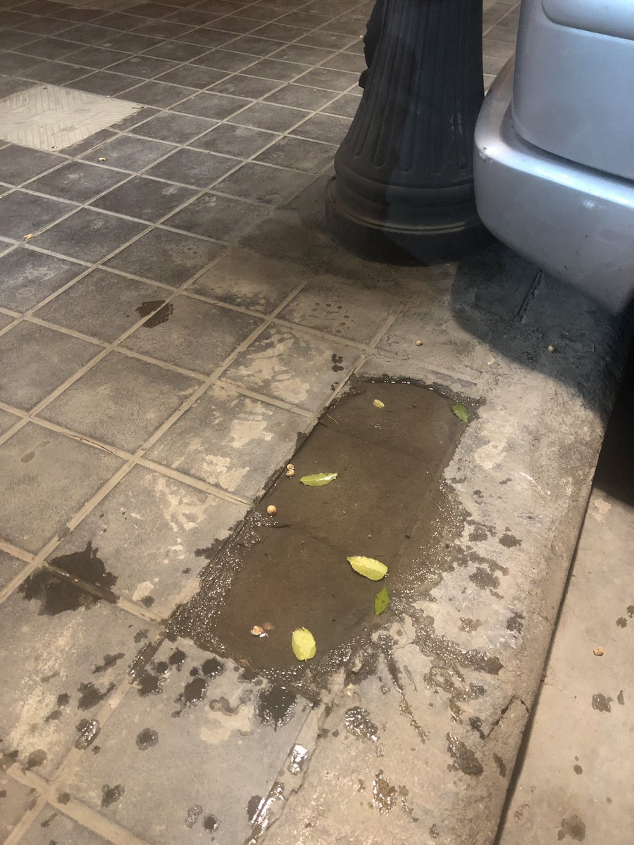XimoCanales's tweet photo. @AjuntamentVLC buenas tardes en el portal del número 15 carrera Fuente San Luis 46006 desde que se puso la farola faltan 3 adoquines y los vecinos se tropiezan al entrar y cuando llueve lo usan las plomas par beber, les rogaríamos lo solucionarán los antes posible Gracias https://t.co/vSjmkJ5SZh