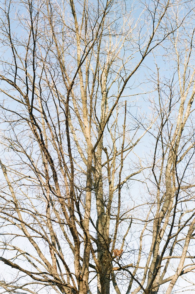 Thomas Knepshield $11 tweet media