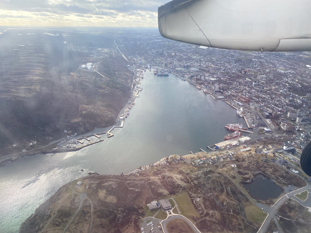 Cailin O'Neil tweet media