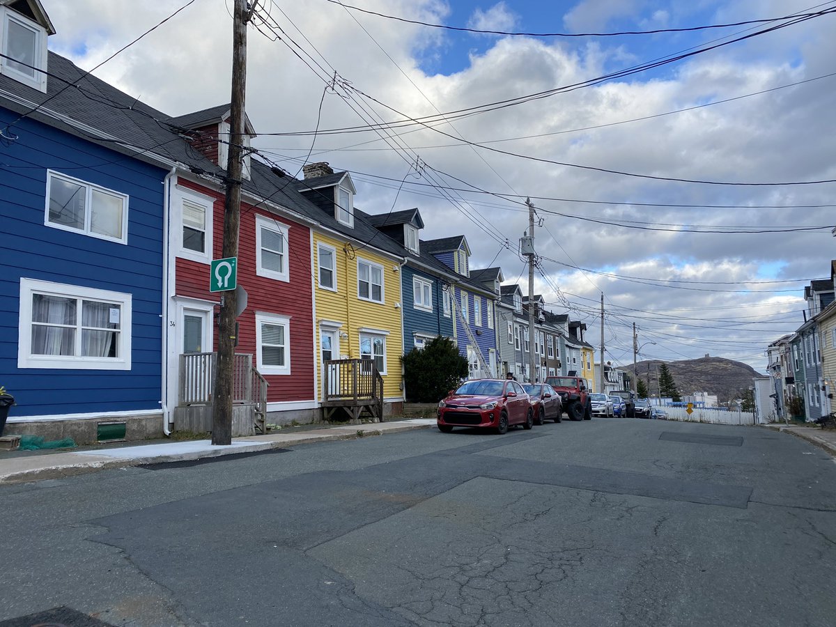 Cailin O'Neil tweet media