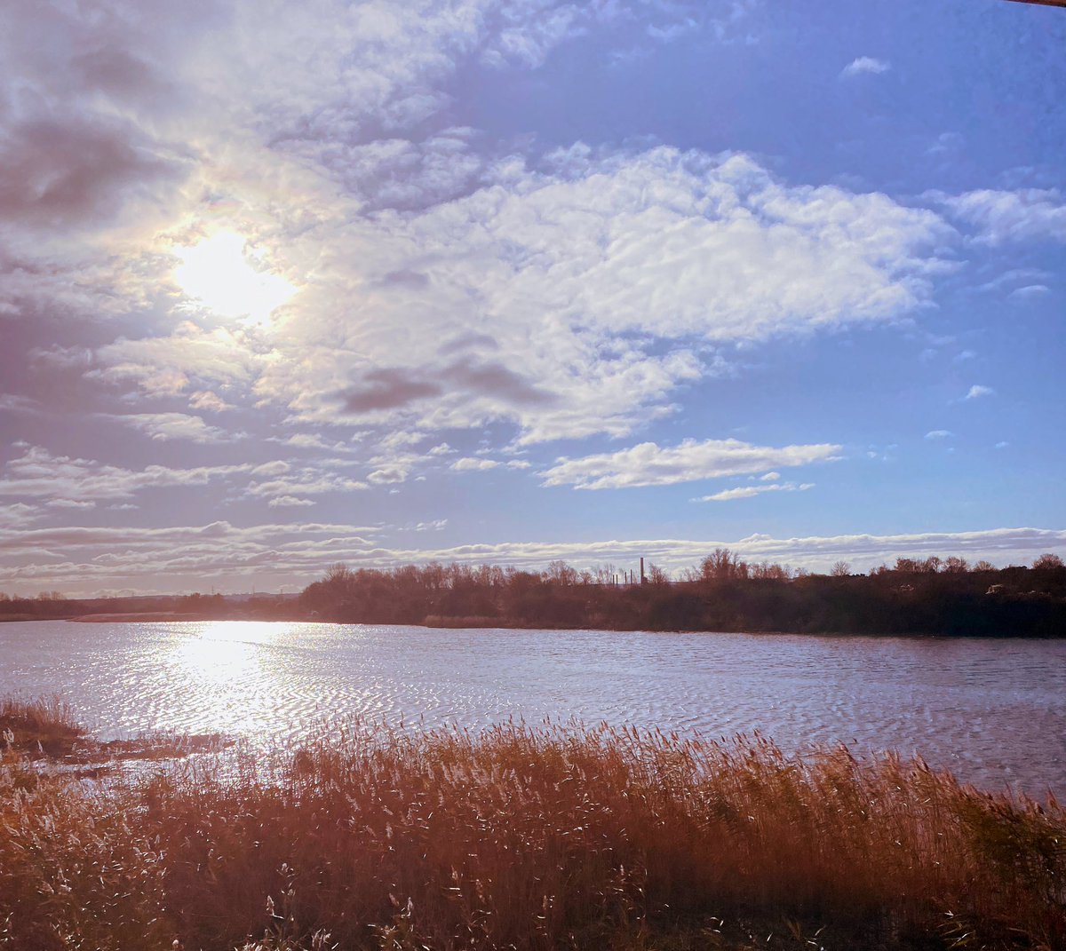 Absolutely Arctic run for <a href="/runup2christmas/">Run Up To Christmas</a> this morning! I don’t think I’ll ever be warm again 🥶 #ukrunchat