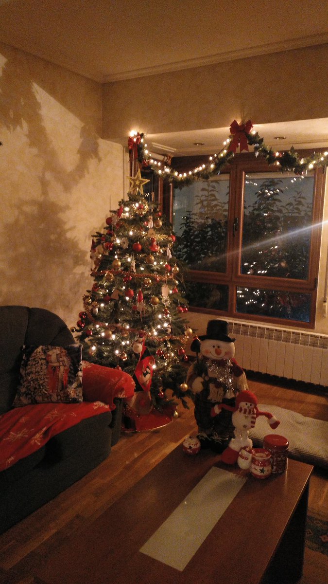 Leire_perez_'s tweet photo. La navidad ya ha llegado a casa!🌲 #241PA2021 #EGINAV https://t.co/3Wim0MaTFt