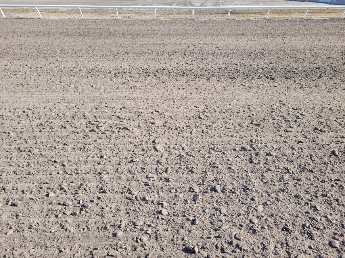 This might just look like dirt, but it is $80000 worth of dirt - at least what is below the cushion. The training track at Fon has had 6" of clay removed and replaced. "Like New" conditions await horsemen.  The stable area officially opens to horses on Dec 15th. <a href="/NebraskaHBPA/">Nebraska HBPA</a>