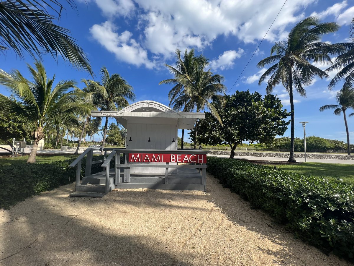 luckyduckytoons's tweet photo. What’s this 3rd Golden Ducky doing over by the Miami Beach sign? 👀 https://t.co/72Ztry0X4l