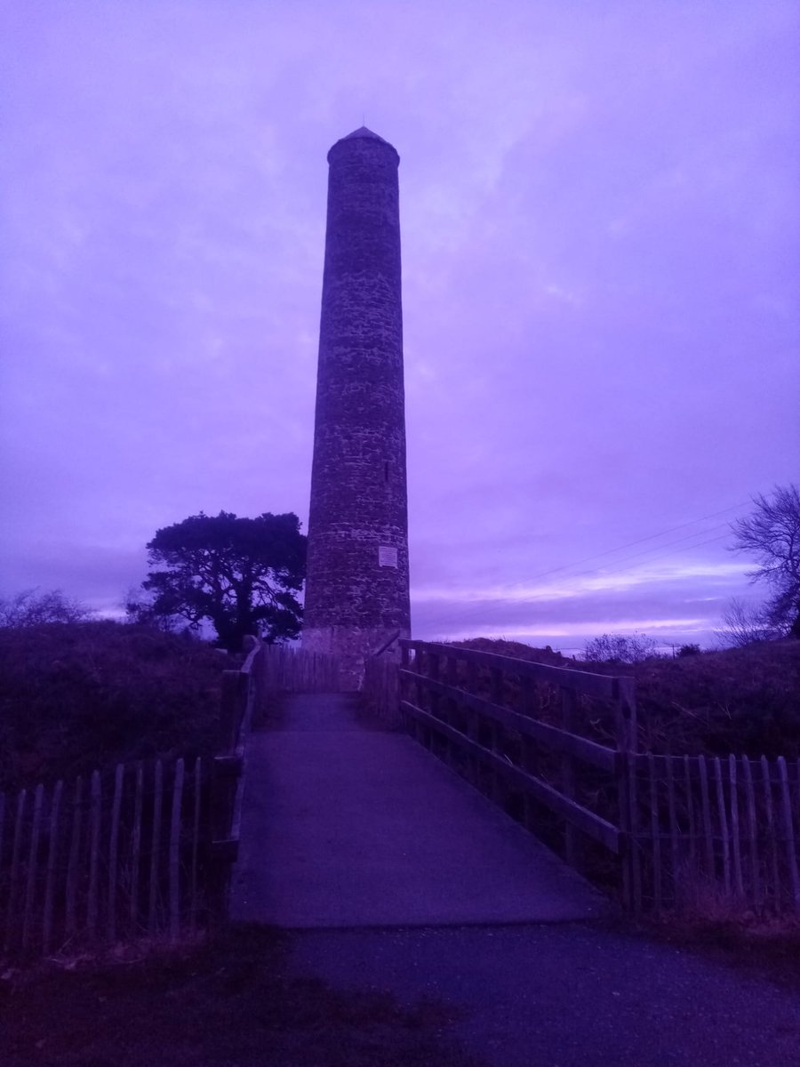 Today is United Nations Day for persons with disabilities. Our round tower is lit up for the occasion!  #PurpleLights21 #wexford #ferrycarrig 💜💛 irishheritage.ie