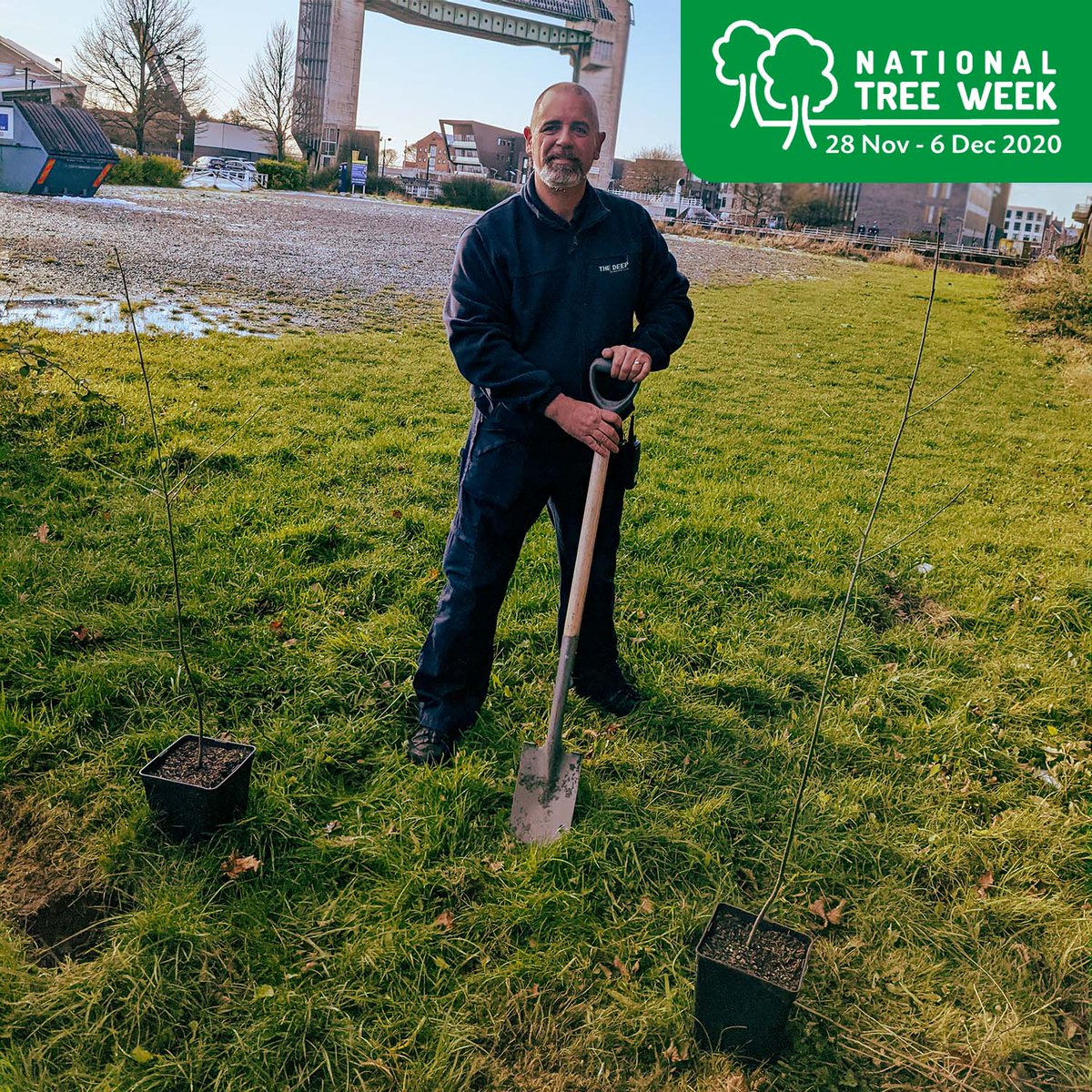 TheDeepHull's tweet photo. For National Tree Week 2021, our Porter (Mike), has planted some Alder buckthorns around The Deep this morning. 🌲

These leaves are the main food plant of the Brimstone Butterfly, a native species throughout England and Wales.

#PlantForOurFuture #TreeWeek2021 #NationalTreeWeek https://t.co/6avkTvDbin