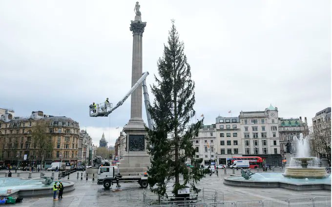 #TrafalgarTree - Sometimes when you work in #digitalpr it can be like... 

The brief:                                    The budget:
