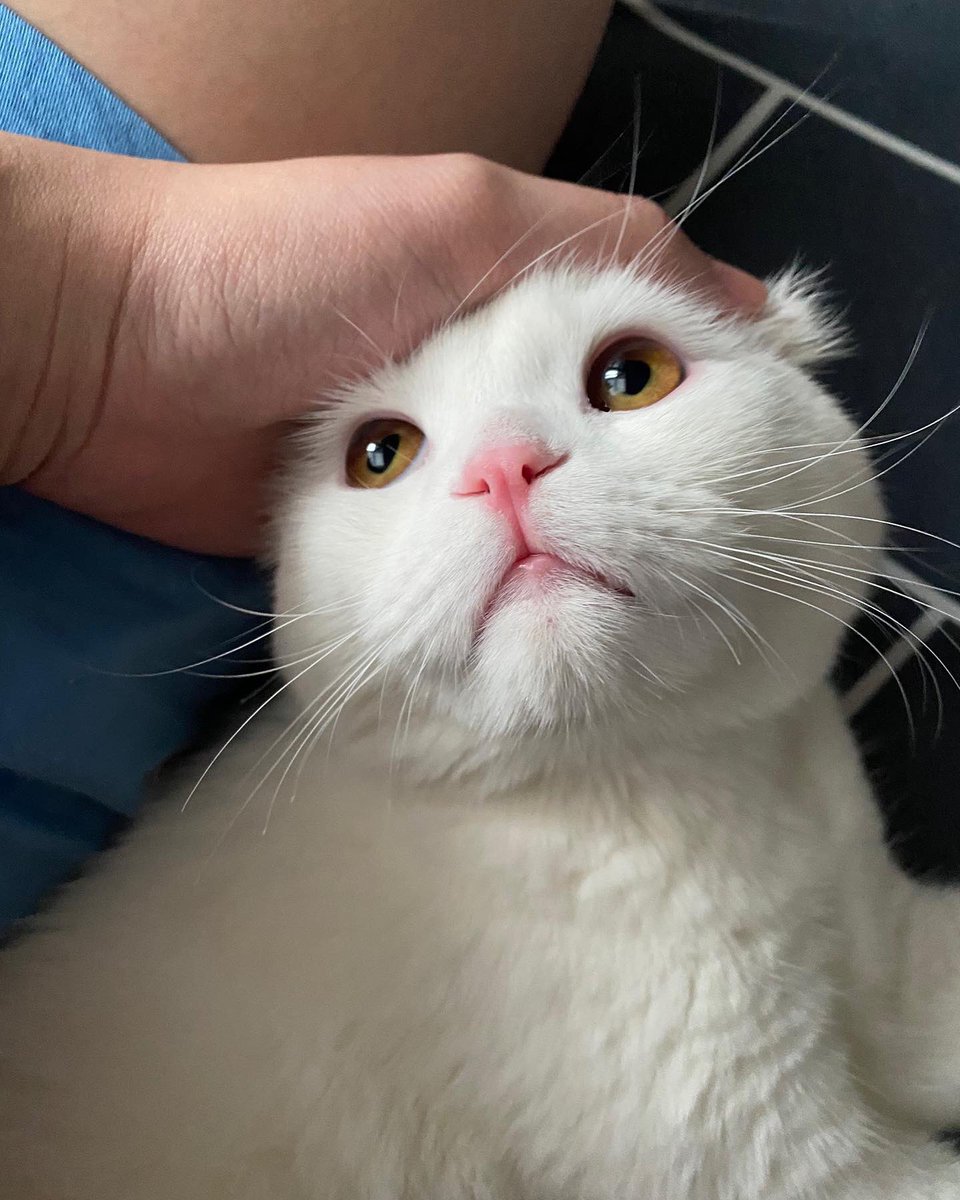 หน้าอ้อนขนาดนี้จะเอาไรค้าบ น้องชายสีน้ำตาลซักตัวดีมั้ย?