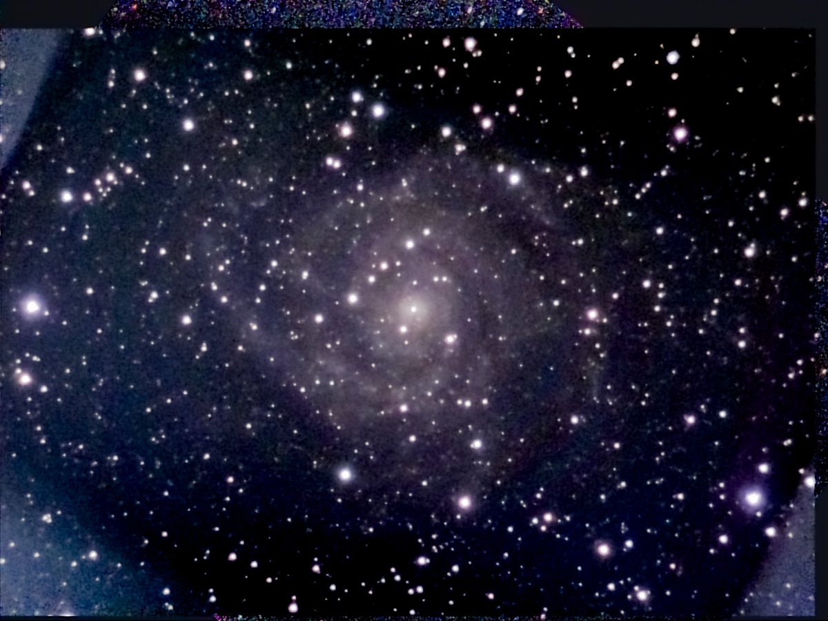 AstroMikeMerri's tweet photo. One last go at bringing out that beautiful but faint spiral structure in IC 342 from last night’s #LockDownAstronomy with the @unistellar #eVscope. Looking forward to see how much better the #eVscope2 manages with such a challenging target! https://t.co/4ReqqYG8NH