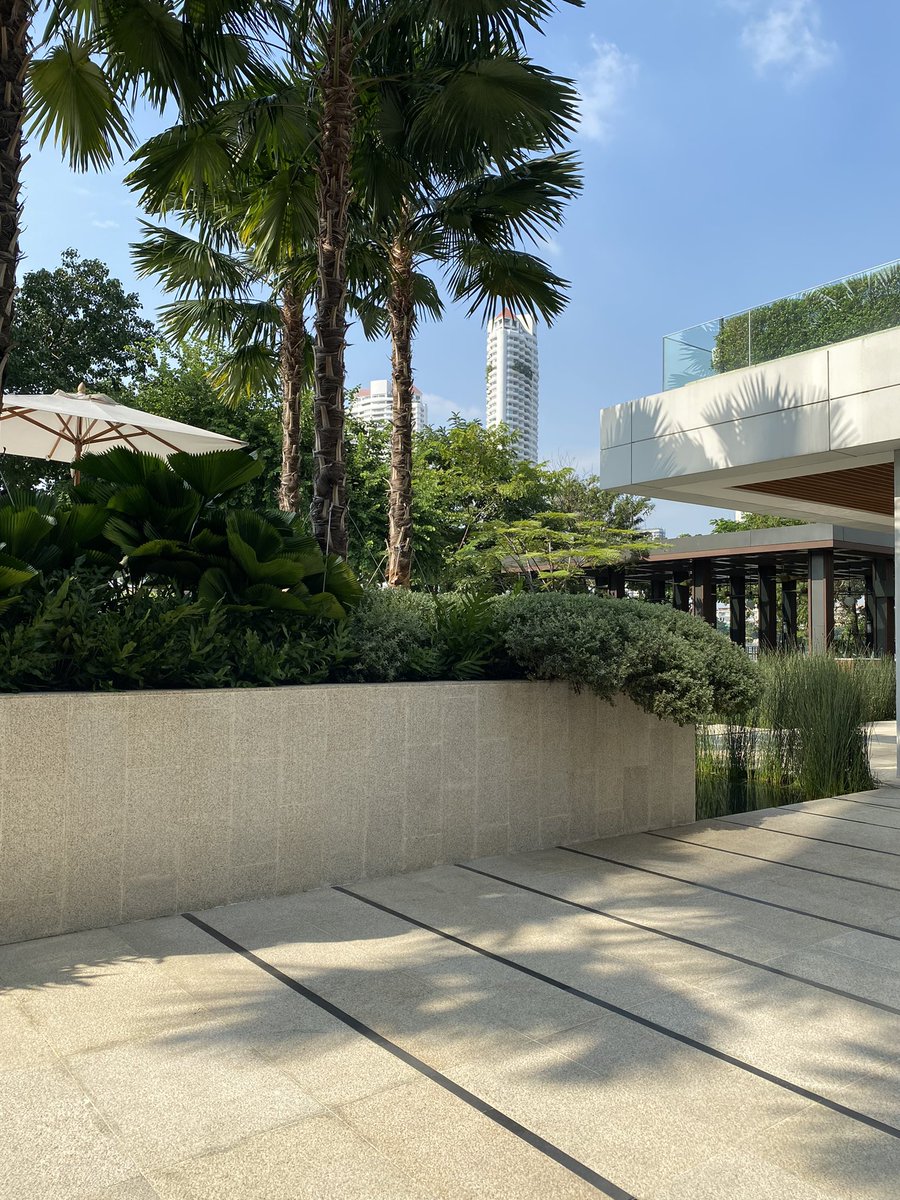 slow down with p tweet media