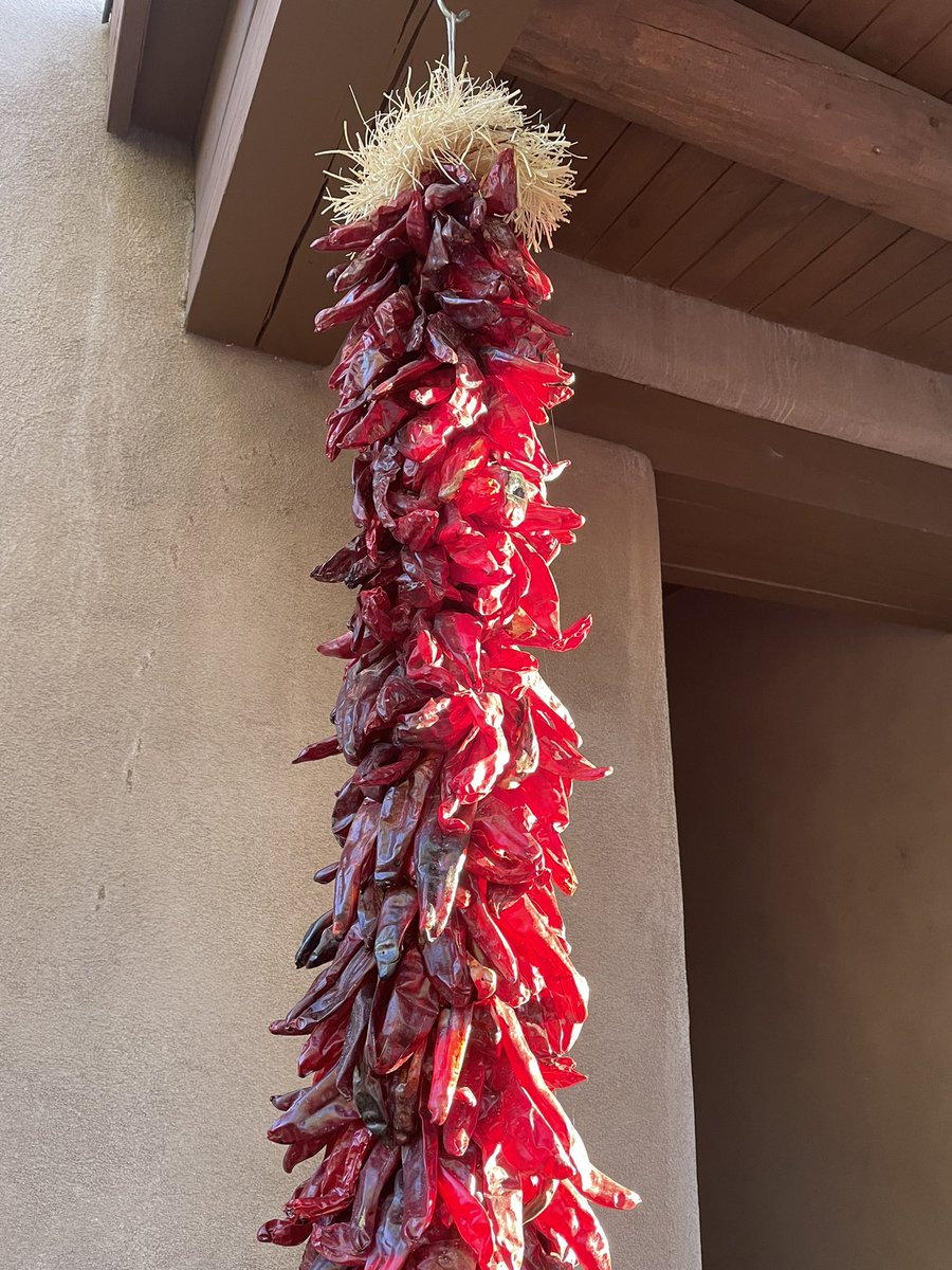reprickhansen's tweet photo. ✅Participated by zoom in South St. Paul Futures Annual meeting this morning ⏰🌞@JimmyFrancisMN @bethbau Live from Sante Fe. #ssplocal @RH_Chamber https://t.co/GA8PmuvEfy