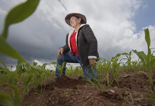 La mujer nicaragüense a asumido el lugar que le corresponde en todas las áreas, desde el campo hasta en la ciudad.

La participación económica de la mujer ha impulsado la economía familiar.
✊🇳🇮
#IzquierdaUnida 
<a href="/NicaSoberana/">Tania la nica soberana</a> <a href="/mijamart88/">⚫🔴𝕄𝕚𝕛𝕒𝕞𝕒𝕣𝕥🔴⚫</a> <a href="/magdala432432/">mares2022</a>