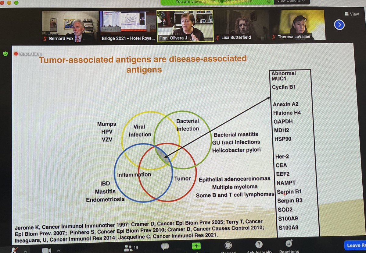 BernardAFox's tweet photo. Another GREAT DEBATE! Can #Cancer #Vaccines turn a cold tumor hot? Profs. Lisa Butterfield @parkerici & Olivera Finn @UPMCHillmanCC Argue point/Prof Butterfield is yes/Prof Finn is MAYBE/depends on right Ag/Great discussion #immunotherapy @PAscierto @FondMelanoma #IOBridge2021 https://t.co/NFtm5pZnRz