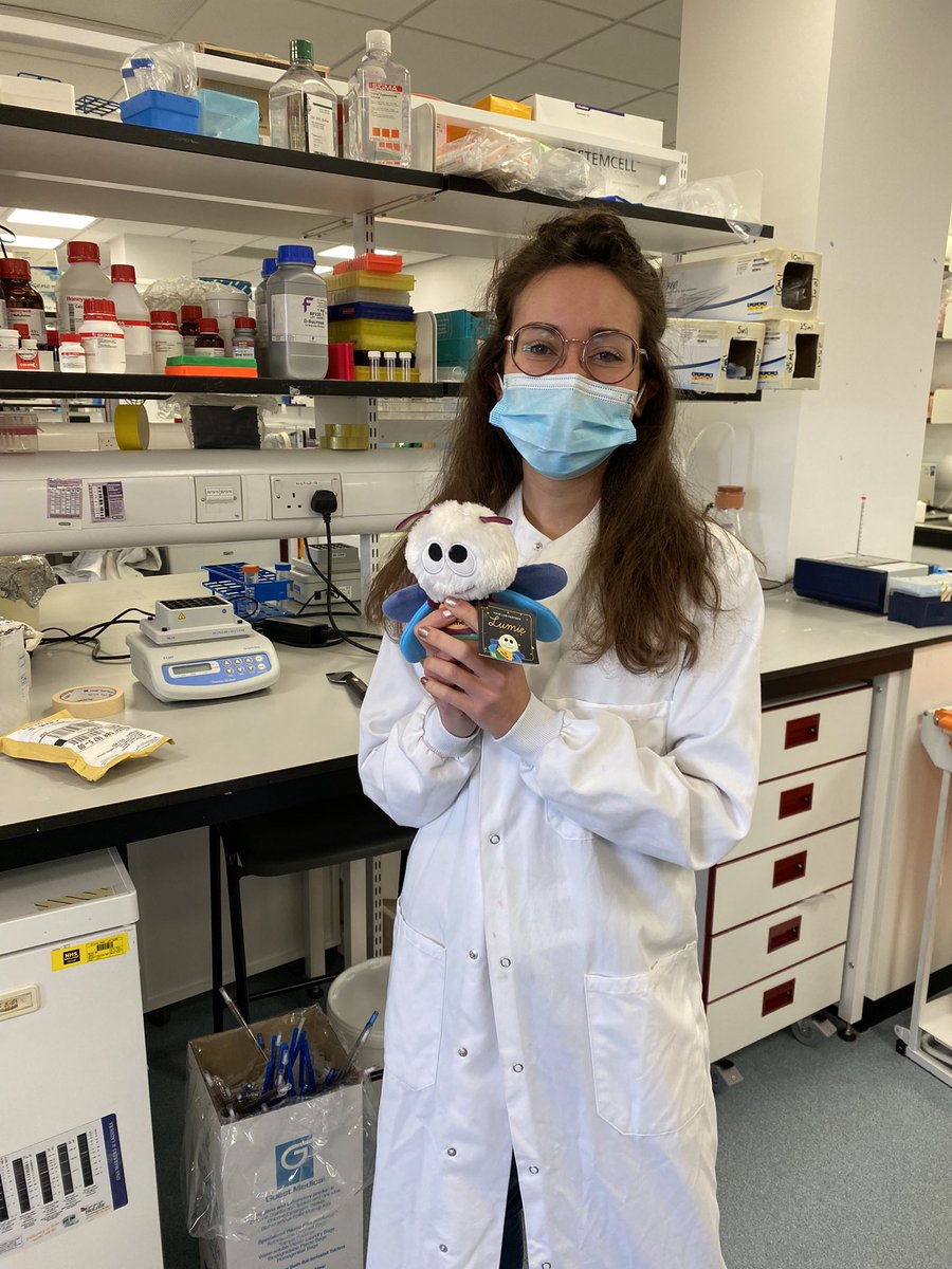 Laura Casares Perez (@promegalaura) on Twitter photo Today I met with one of the winners of ‘Where is Lumie’ to give her the wee <a href="/promegauk/">PromegaUK</a> mascot! Congratualtions <a href="/ALermant/">Agathe Lermant</a> 🎉
📢Keep an eye out for future dundee price draws by following me and <a href="/PromegaChris/">Chris Moffat</a>
We are also on Insta @promegascotland 😊
<a href="/UoDMedicine/">UoD Medicine</a> <a href="/UoDLifeSciences/">UoD Life Sciences</a> Today I met with one of the winners of ‘Where is Lumie’ to give her the wee <a href="/promegauk/">PromegaUK</a> mascot! Congratualtions <a href="/ALermant/">Agathe Lermant</a> 🎉
📢Keep an eye out for future dundee price draws by following me and <a href="/PromegaChris/">Chris Moffat</a>
We are also on Insta @promegascotland 😊
<a href="/UoDMedicine/">UoD Medicine</a> <a href="/UoDLifeSciences/">UoD Life Sciences</a>