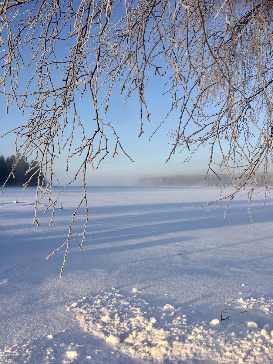 FinlandPictures's tweet photo. Pirteä pakkanen tänään -18.5’C.❄️🔥❄️ #pakkanen #joulukuu #suomi #finland https://t.co/f8jSqV3ubj