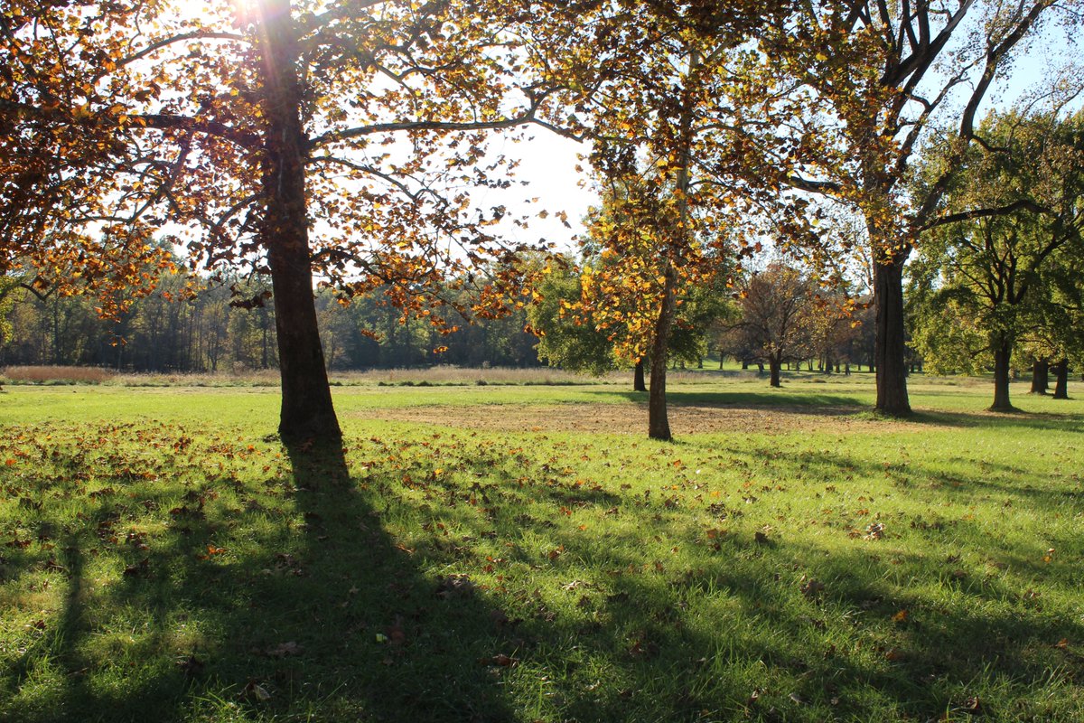 Discover Ancient America with Cahokia Mounds’ through Augmented Reality.  See the ancient structures of Cahokia overlaid on the modern landscape. Check out this incredible new technology with us. You can rent an iPad for $15 or buy the app on Apple devices for $4.99.