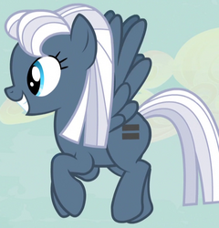 CharacterMlp's tweet photo. Night Glider!

#MLP #MLPFiM #mylittlepony https://t.co/FYbf5Yc4qu