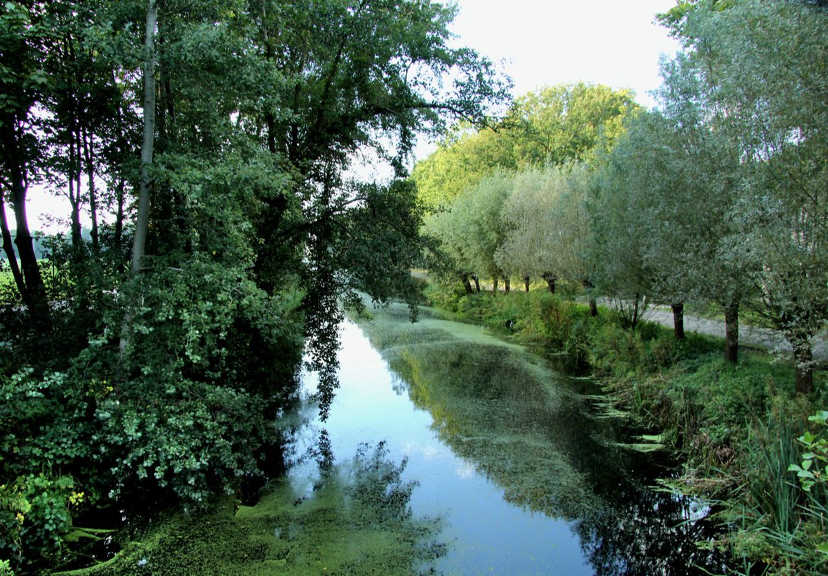 De Gooi- en Eemlander tweet media