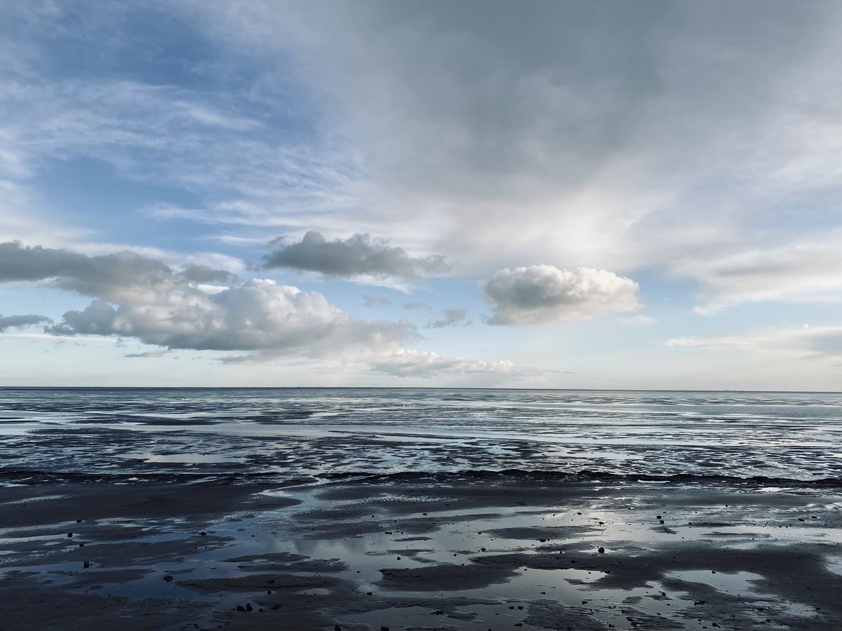 Oost
West
Wad
Best

#wijsmetdewaddenzee
<a href="/waddentweets/">Waddenvereniging</a> 
<a href="/wadfotografen/">WADDENFOTO'S</a>