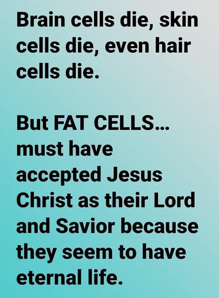 Boy, is that the truth 👇😂