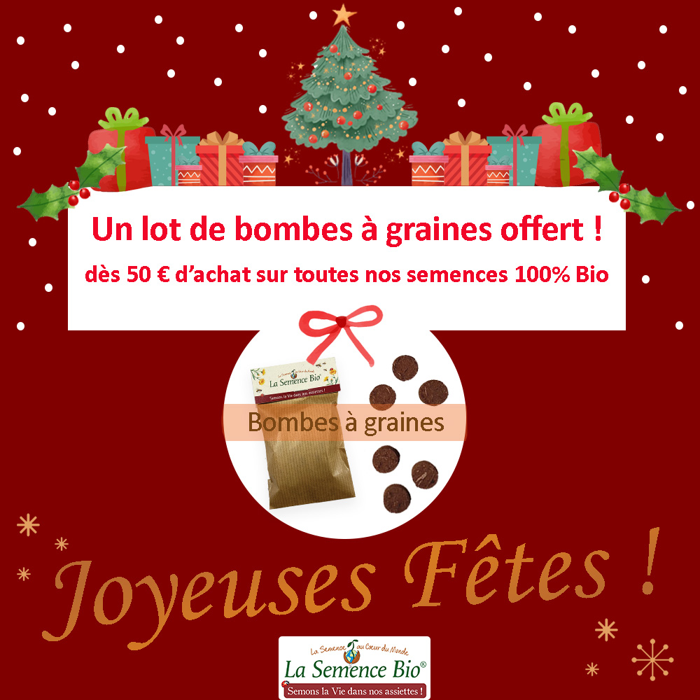 La Semence Bio tweet media