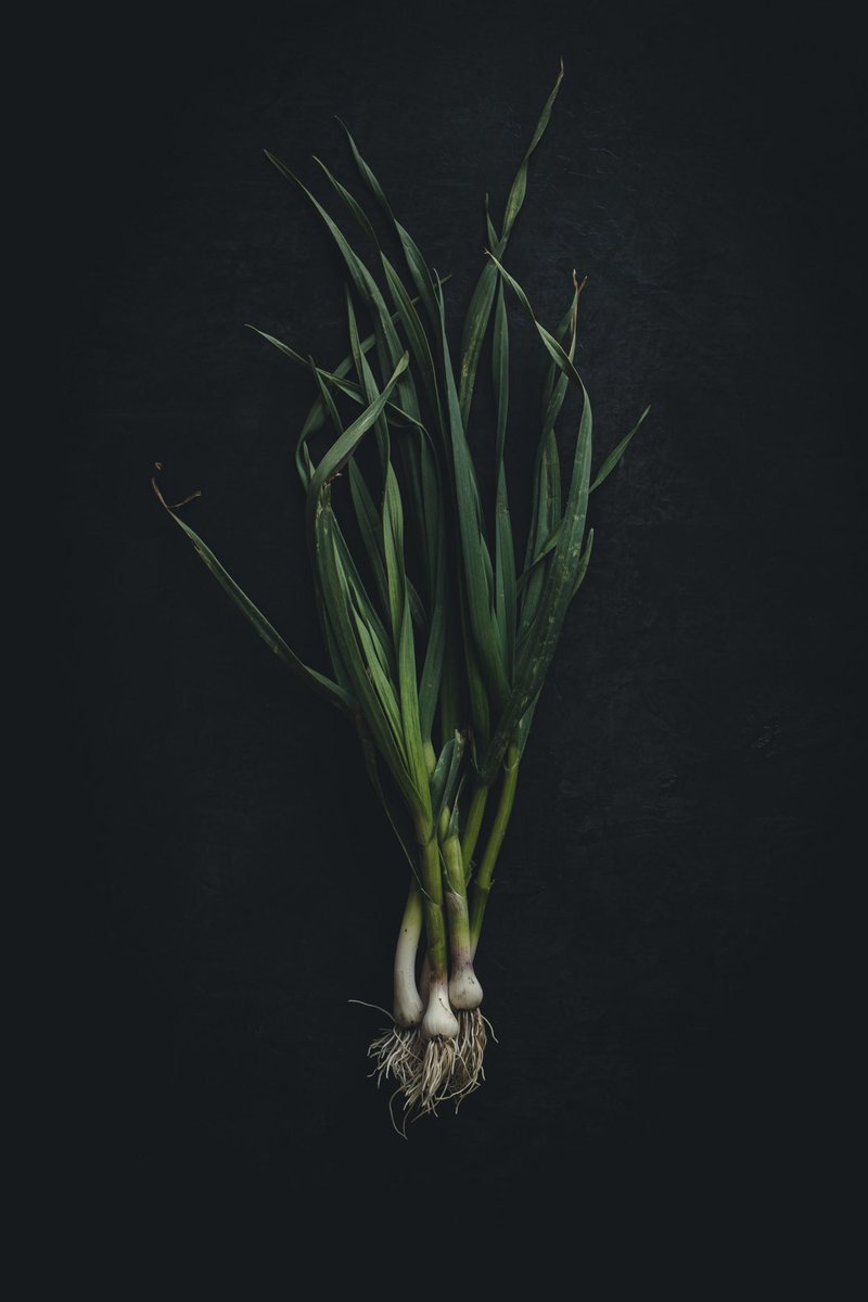 DaysAtCamp's tweet photo. Moody Food exhibit opens tonight, 5pm at Wolverine Farm in Fort Collins https://t.co/1nDaDURPiq