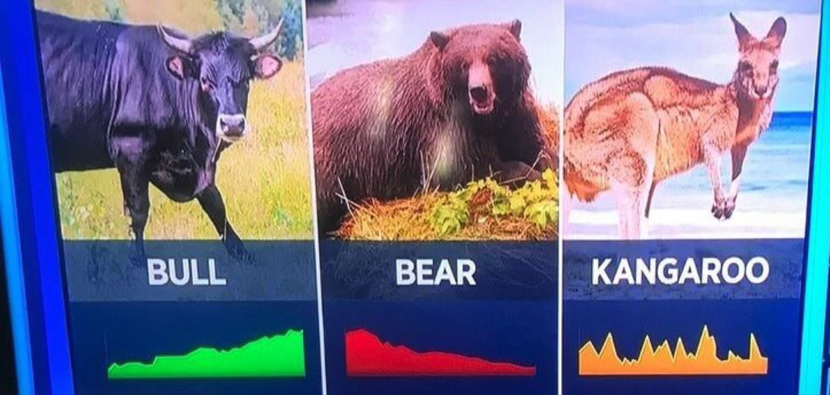 MsMegTrades's tweet photo. Welcome to the kangaroo market 🦘 https://t.co/SjQCY7g1Yk