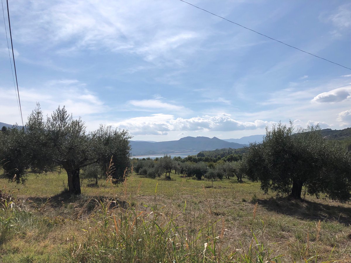 RicardMoren's tweet photo. @aralleida @TurismeJussa #hamlets research @UABBarcelona:
CONCA DE DALT municipality #PallarsJussà #Lleida:
439 inhabitants (INE2016) including 33 born abroad:
12 in #Romania…
#RuralLIFE #RURALimmigration #RuralEUROPE
#micropobles #ConcaDeDalt #Catalonia #ruralSpain
+Info: https://t.co/s4NkP90WvX
📷2020 https://t.co/eoPTPYbeK0