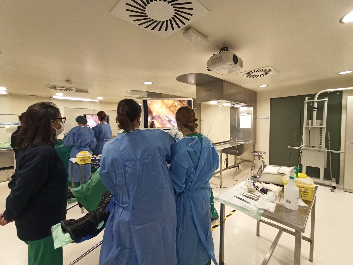 Leticia (@lperezsantiago) on Twitter photo Continuamos con el VII Workshop Cirugía
Laparoscópica
Colorrectal Avanzada ‼️
Ahora #prácticaquirúrgica en la Sala de anatomía 👏🏼👏🏼
<a href="/ClinicoUcp/">UCP Hospital Clínico Valencia</a> <a href="/incliva_iis/">INCLIVA</a> <a href="/StephGaBotello/">Stephanie Garcia-Botello</a> <a href="/davidmoro78/">David Moro-Valdezate</a> <a href="/VicentePlaMarti/">Vicente Pla Marti</a> <a href="/mireglio/">Mireia</a> <a href="/RickyGM5/">Ricky GM</a> Continuamos con el VII Workshop Cirugía
Laparoscópica
Colorrectal Avanzada ‼️
Ahora #prácticaquirúrgica en la Sala de anatomía 👏🏼👏🏼
<a href="/ClinicoUcp/">UCP Hospital Clínico Valencia</a> <a href="/incliva_iis/">INCLIVA</a> <a href="/StephGaBotello/">Stephanie Garcia-Botello</a> <a href="/davidmoro78/">David Moro-Valdezate</a> <a href="/VicentePlaMarti/">Vicente Pla Marti</a> <a href="/mireglio/">Mireia</a> <a href="/RickyGM5/">Ricky GM</a>