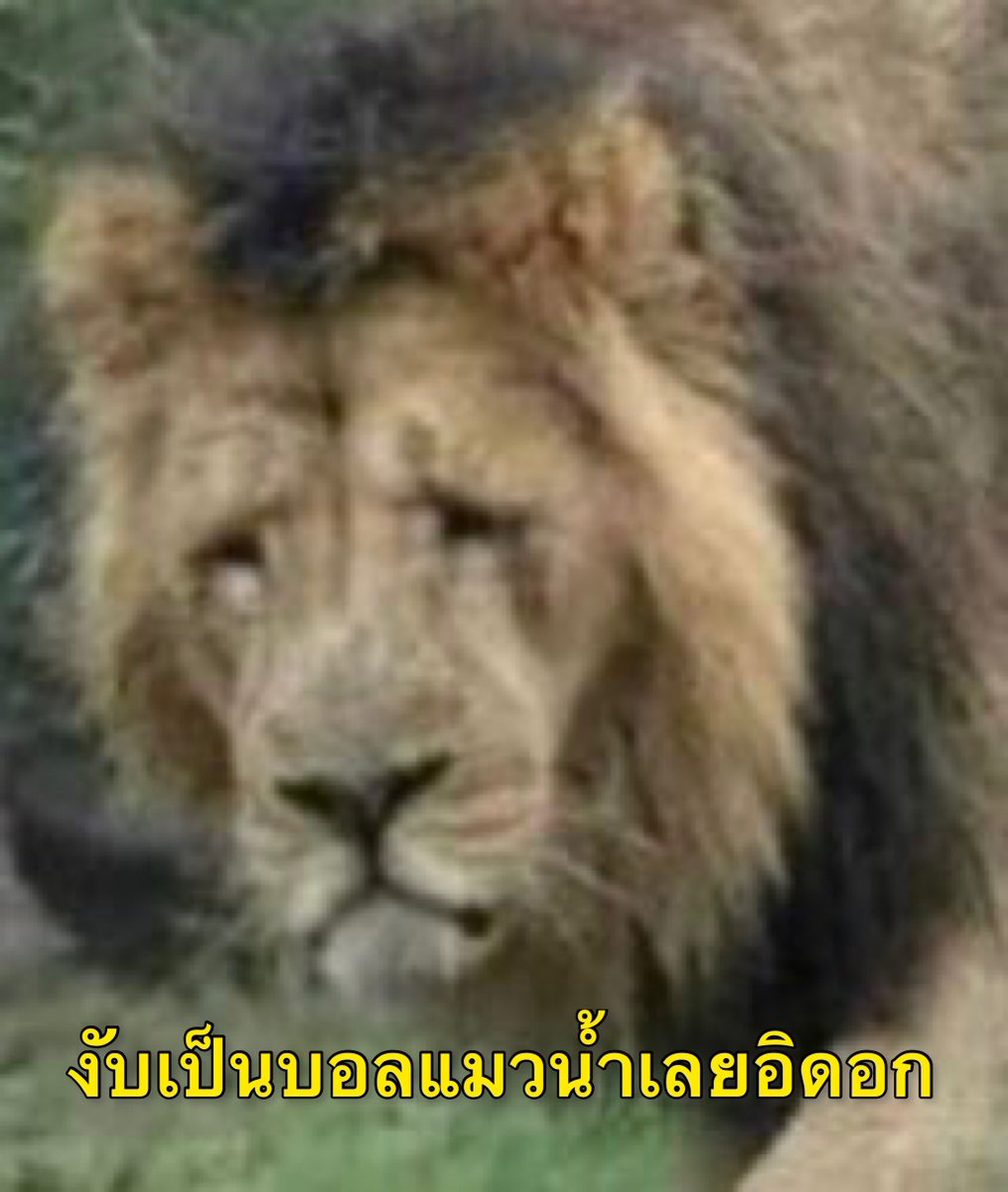 LODE1994_'s tweet photo. ขนาดนี้แล้ว ถอดเก็บไปเล่นที่บ้านมั้ยอีนางสิง https://t.co/XarSSRa11R