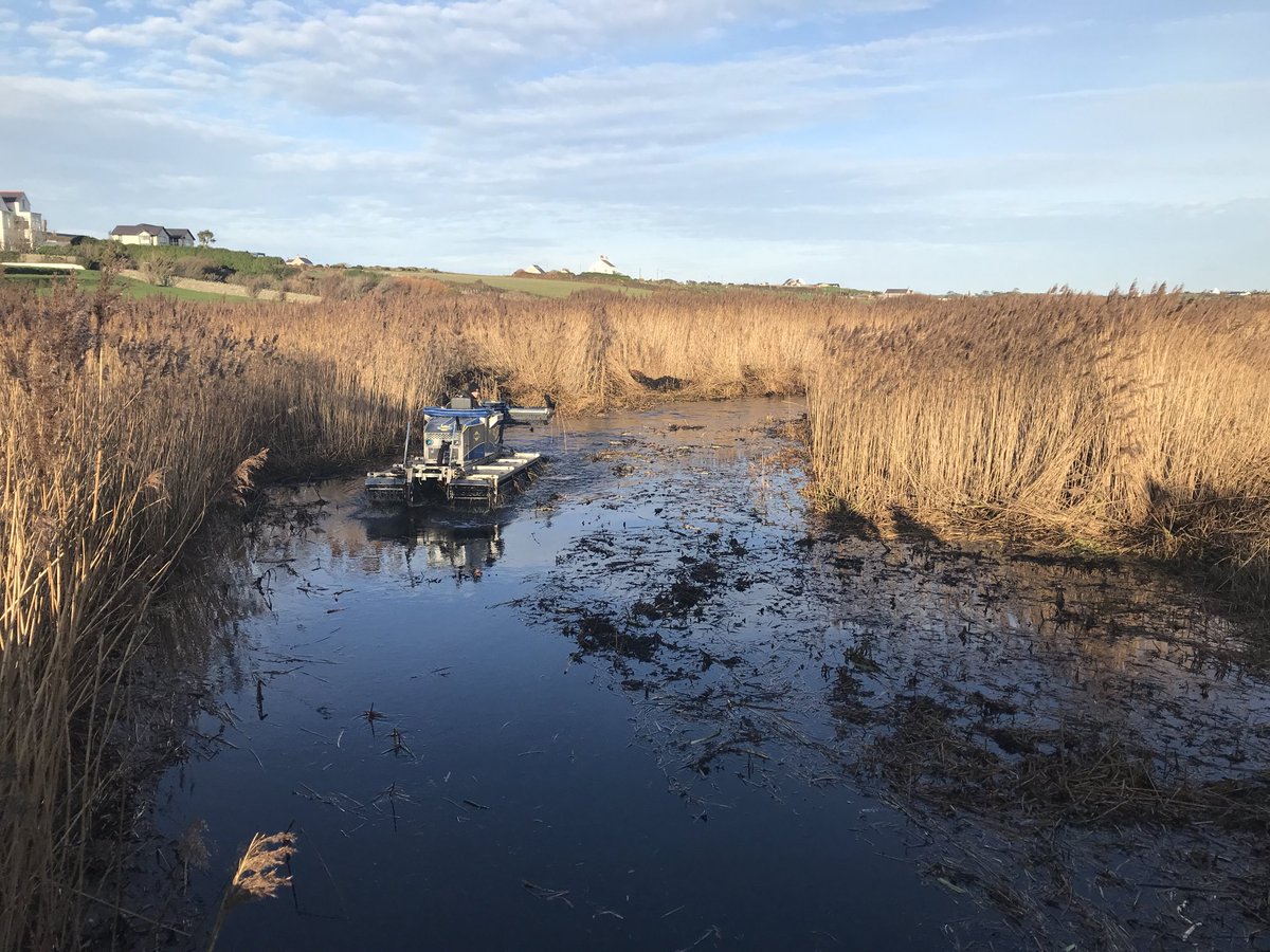 Richard Dew (@richard_a_dew) on Twitter photo NRW clearing the river outflow at Llyn Maelog, Rhosneigr. NRW clearing the river outflow at Llyn Maelog, Rhosneigr.