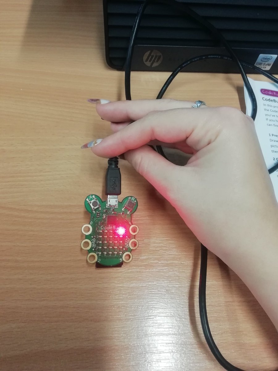 MissDavies02's tweet image. In our most recent Computing seminar in University, we focused on programming #CodeBugs and #Picoh robots. Throughout this, we were encouraged to use different variables to program our names onto these as well as instructing the Picoh robot to speak! 🤖😄