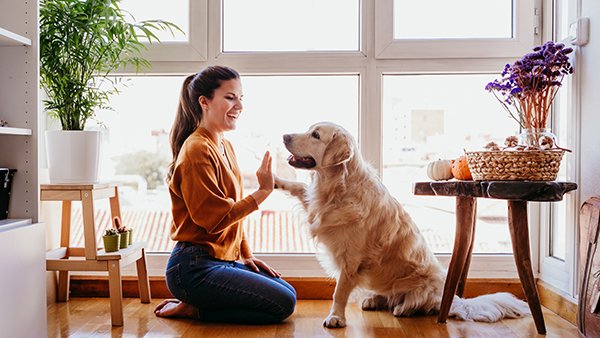 destinationpnw's tweet photo. See what pet restrictions you should have for your #rentalproperty. #landlordtips  https://t.co/pMWnzagwmU https://t.co/I6yslbNNu3