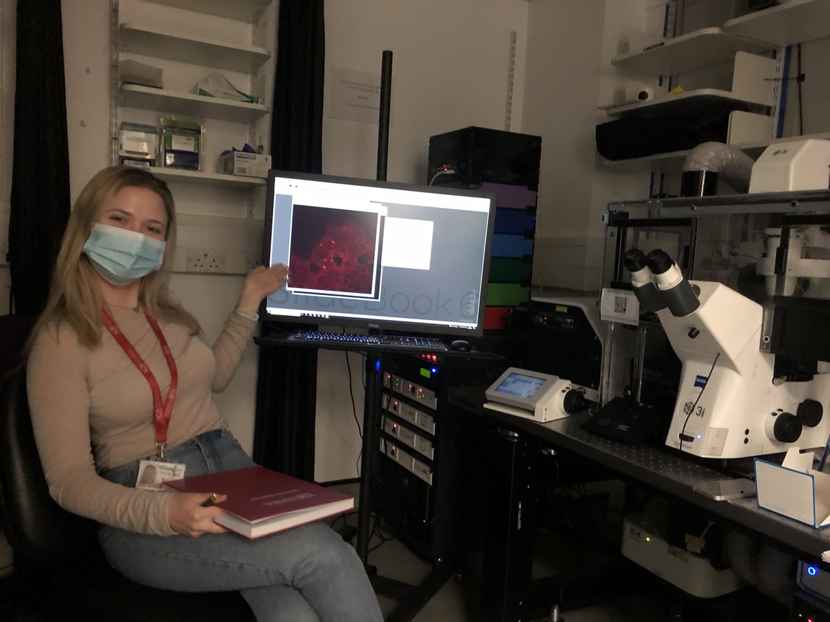 Our new postdoc <a href="/KarinrbHansson/">Karin Hansson</a> taking some fascinating images of #mestastasis on the advanced spinning disk confocal 🔬 Keep the good work going!! ✊🏻