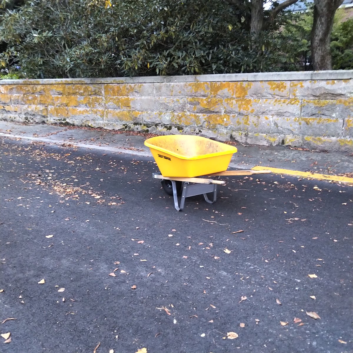 Henri Cole tweet media