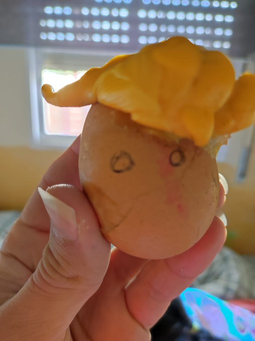 -mi psic&oacute;logo: el huevo Donald Trump no existe.  -El huevo Donald Trump: https://t.co/lwPIkRqUuY