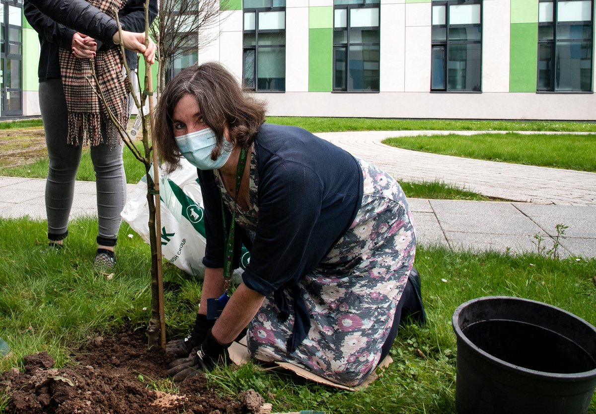 SFHFT's tweet photo. Today at our Board meeting, we recognised the impact climate change is having on the health of our community and we declared a climate emergency 🌎📢
We join 7 other NHS Trusts in sharing our climate action plans and shared learning 🌱 @GreenerNHS 
🔗https://t.co/bb3KLwVP0M https://t.co/wWEvt7kodE
