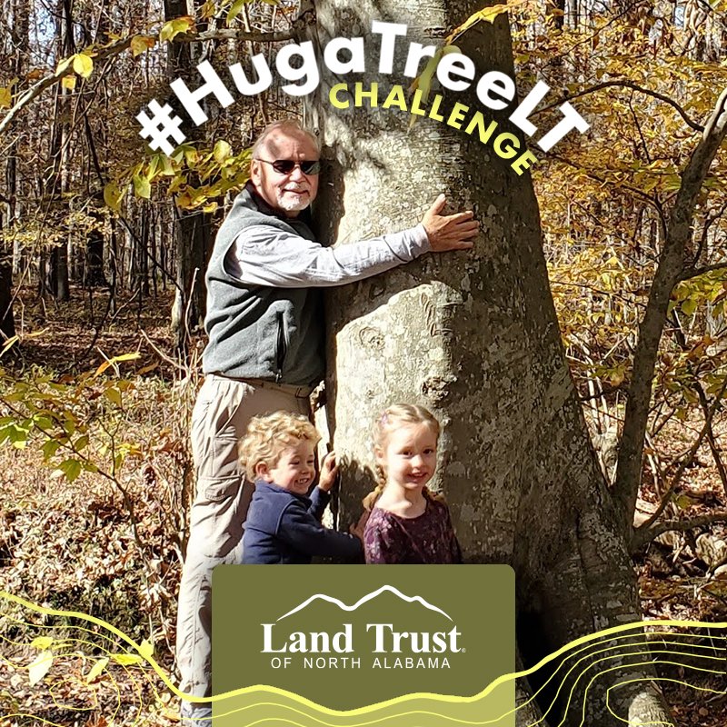 LandTrustNAL's tweet photo. Find our last #HugATreeLT of the year (American Beech) alongside Bradford Creek Greenway, a partnership between @MadisonAlabama & #landtrustnal. 💚🌳https://t.co/fBSx9SMCNT 📸: Jim Chamberlain, hike leader and former board member, with his grandchildren. https://t.co/886MrnV7FK