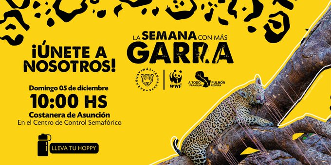 WWFpy's tweet photo. ¡Te esperamos el domingo 5 de diciembre, en la Costanera para armar un mosaico en homenaje al Jaguareté, de la mano del artista Juan Pistilli🖌️🐆🌳 

#ParaguayMásJaguareté #LaSemanaConMásGarra #MesDelJaguar https://t.co/5DIBR1iN6j