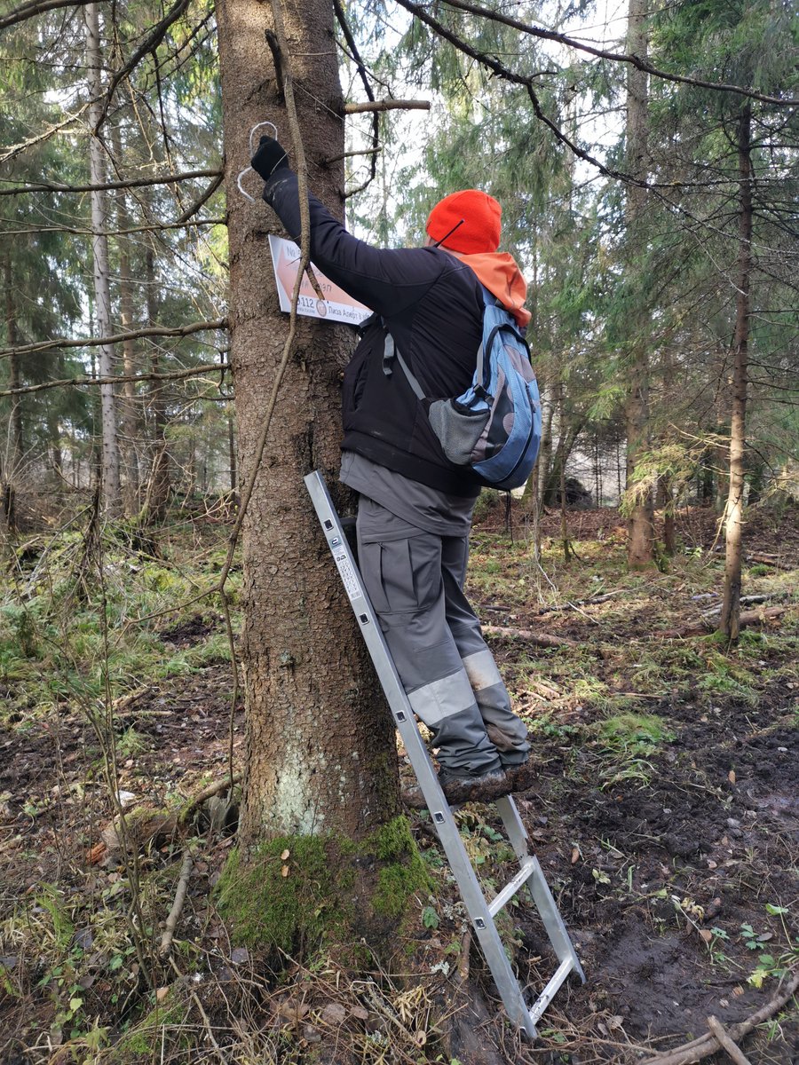 11 декабря в районе д. Сурмино будет выезд в рамках проекта "Стрелки в лесу". Мы продолжаем работу в лесном массиве на территории Истринского и Одинцовского районов МО. 
Тема на форуме: lizaalert.org/forum/viewtopi…
#стрелкивлесу