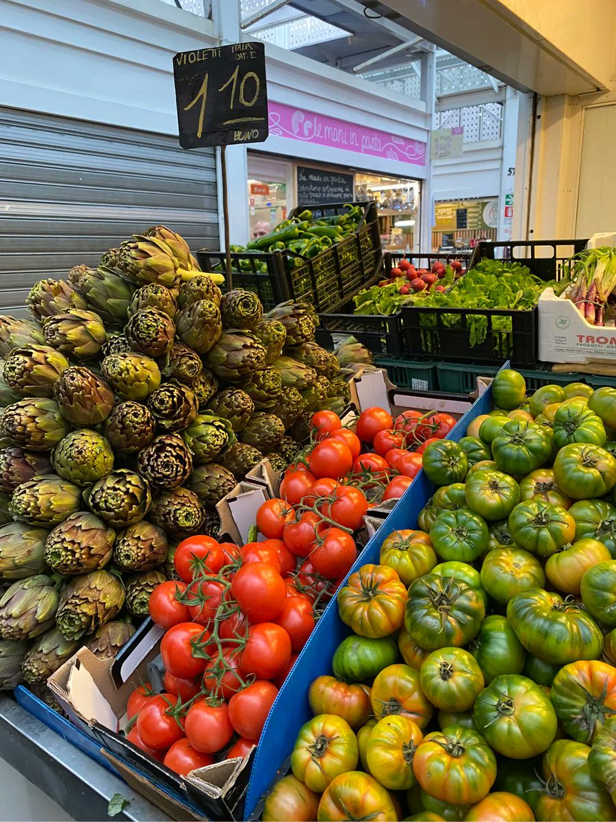 Contemporary Nomad tweet media