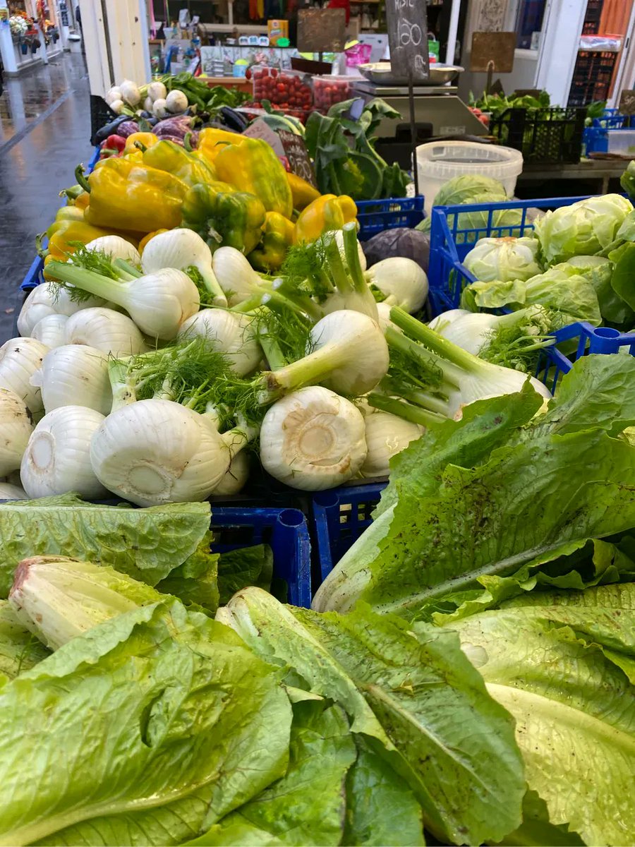 Contemporary Nomad tweet media